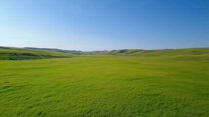 Obraz premium Vast Prairie Landscape: A panoramic vista of rolling grasslands stretches towards a clear blue sky, evoking a sense of tranquility and boundless possibility.