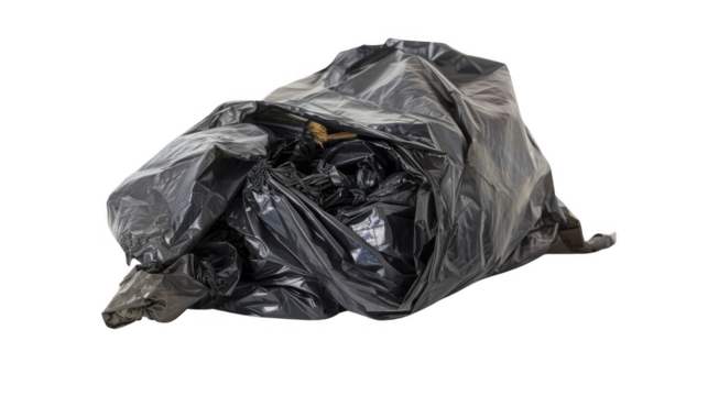 Waste management cleanup event urban park environmental responsibility outdoors public engagement community action