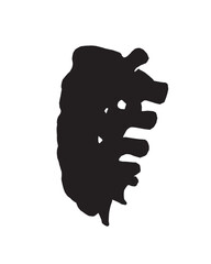 Silhouette Anatomy of normal human Disc. Illustration of Medical diagram about the spine in top view for check disc herniation. nucleus pulposus, annulus fibrosis.