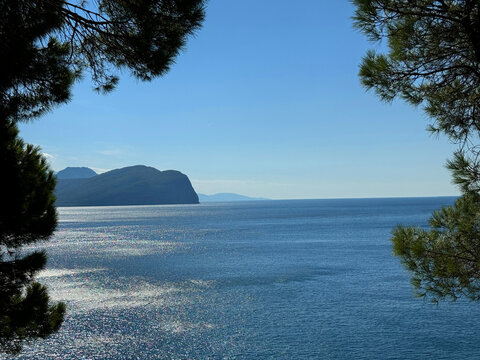 View on Mediterranean sea blue shiny water through pine branches 