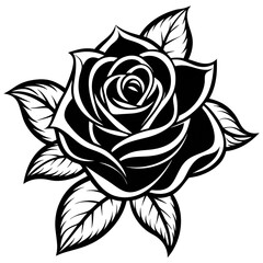 Fototapeta premium A black rose with a white stem