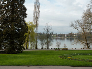 Obraz premium A tranquil lakeside view set against a serene landscape features sprawling trees, lush green grass, and distant architectural elements, embodying natural calmness.