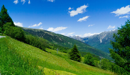 Fototapeta premium Sprawling green meadows stretch seamlessly towards the looming mountains, their verdant expanse promising peace and quietude among nature's breathtaking vistas.