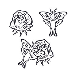 Hand drawn rose flower and luna moth black outline set isolated on white background. Minimalist bloom and butterfly monochrome design.