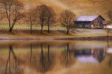 A rustic cabin nestled by a serene lake, surrounded by autumnal trees, reflecting beautifully on...