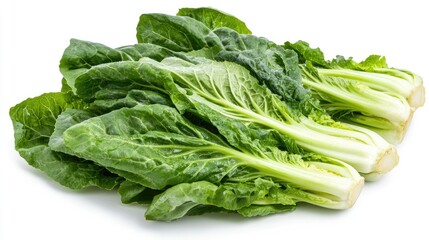 Fresh romaine lettuce with vibrant green leaves arranged neatly, showcasing crisp textures on a clean white background.