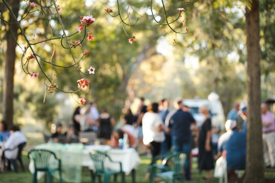 Pink flowers handing from tree with outdoor garden party in background