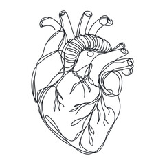 Heart continuous one line drawing, Black and white vector minimalist illustration of love concept made of one line