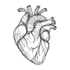 Heart continuous one line drawing, Black and white vector minimalist illustration of love concept made of one line
