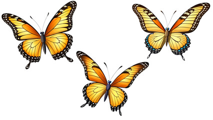 Obraz premium Very beautiful collection of colorful butterfly in flight isolated on a transparent background