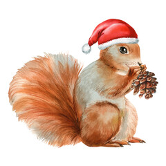 Adorable Squirrel with cone in holiday hat. Christmas clipart for design. festive watercolor Christmas illustrations