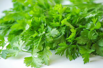 Parsley isolated on white background