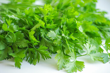 Bunch of fresh parsley background