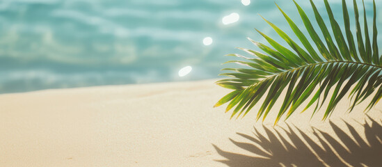 Palm leaf resting on soft sand, creating a serene and tropical beach vibe.