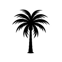 Obraz premium A Palm tree vector silhouette isolated on a white background, Tropical palm tree black clipart. Tropical palm tree