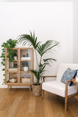 Modern living room with stylish furniture and indoor plants for a cozy atmosphere