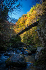 紅葉した渓谷にかかる橋