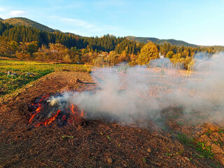 Smoke billows from burning crop residue
