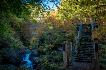 紅葉した渓谷のハイキング