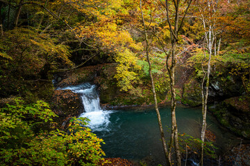 紅葉した木々の下を流れ落ちる小さな滝