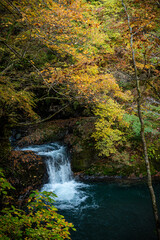 紅葉した木々の下を流れ落ちる小さな滝