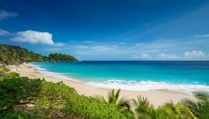 Fototapeta premium Beautiful tropical beach with palm trees, sunset beach seascape, design template for travel banner.