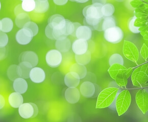 Naklejka premium Fresh green plants with small leaves on a blurred natural background featuring soft bokeh light, ideal for nature, eco, or relaxation themes