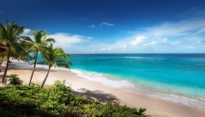 Fototapeta premium Beautiful tropical beach with palm trees, sunset beach seascape, design template for travel banner.