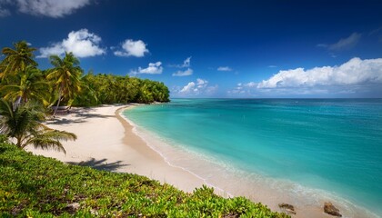 Fototapeta premium Beautiful tropical beach with palm trees, sunset beach seascape, design template for travel banner.