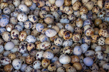 Abstract patterns and shapes of piles of quail eggs. Pile of white bird eggs with black stripes. Source of protein. Natural pattern and texture background for graphic design. Relating to livestock ind