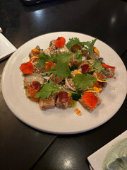 Raw salmon tartare, trout tartar or red fish cubes salad