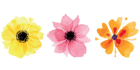 Set of three watercolor flowers in yellow, pink, and orange shades on a white background.
