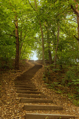 The stairs in the park leading upwards.