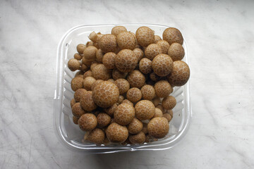 Grzybki shimeji © Miroslaw