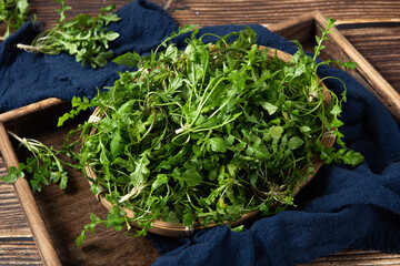 fresh shepherd's purse vegetable on wooden table.