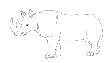 Rhinoceros. A large herbivorous African animal. Vector illustration. Isolated on white background. 
