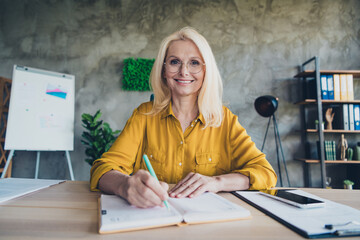Photo of happy cheerful lady ceo dressed shirt writing diary indoors workplace workstation loft