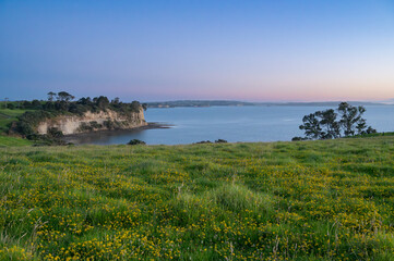 Panoramic view of the early morning at Long Bay Regional Park