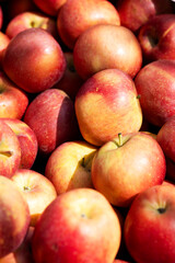 Delicious and juicy pink-red apples. Apple background.