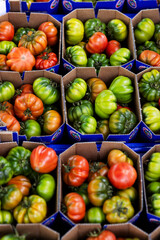 Close-up. Colorful tomatoes are on sale at the market