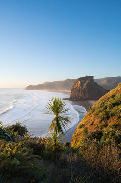Beautiful sunset viewpoint of the South Piha Beach, Auckland, New Zealand