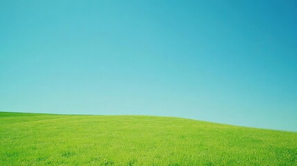 Fototapeta premium Serene Green Field Under a Blue Sky 