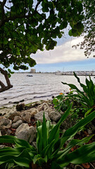 Fototapeta premium Picturesque landscape by the sea