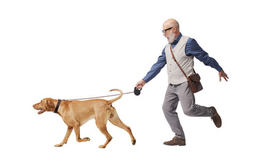 Mature man walking a disobedient dog