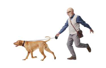 Mature man walking a disobedient dog