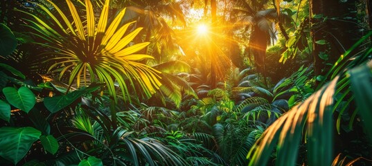 Fototapeta premium Vibrant rainforest scene with dense foliage, draping vines, and sunlight through the canopy