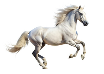 Handsome white stallion galloping, jumping. isolated on white background as transparent. PNG. AI GENERATED.
