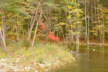 가을의 산과 나무가 어우러진 낙엽과 나뭇잎의 다채로운 색상이 어우러진 산책길과 냇가의 자연 환경 이미지