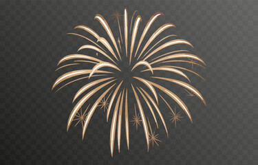 Vector fireworks. Multicolored fireworks on isolated transparent background. Fireworks png. Holiday fireworks. Festive background.