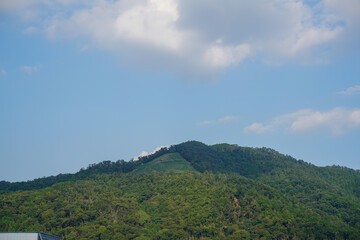夏の大文字山